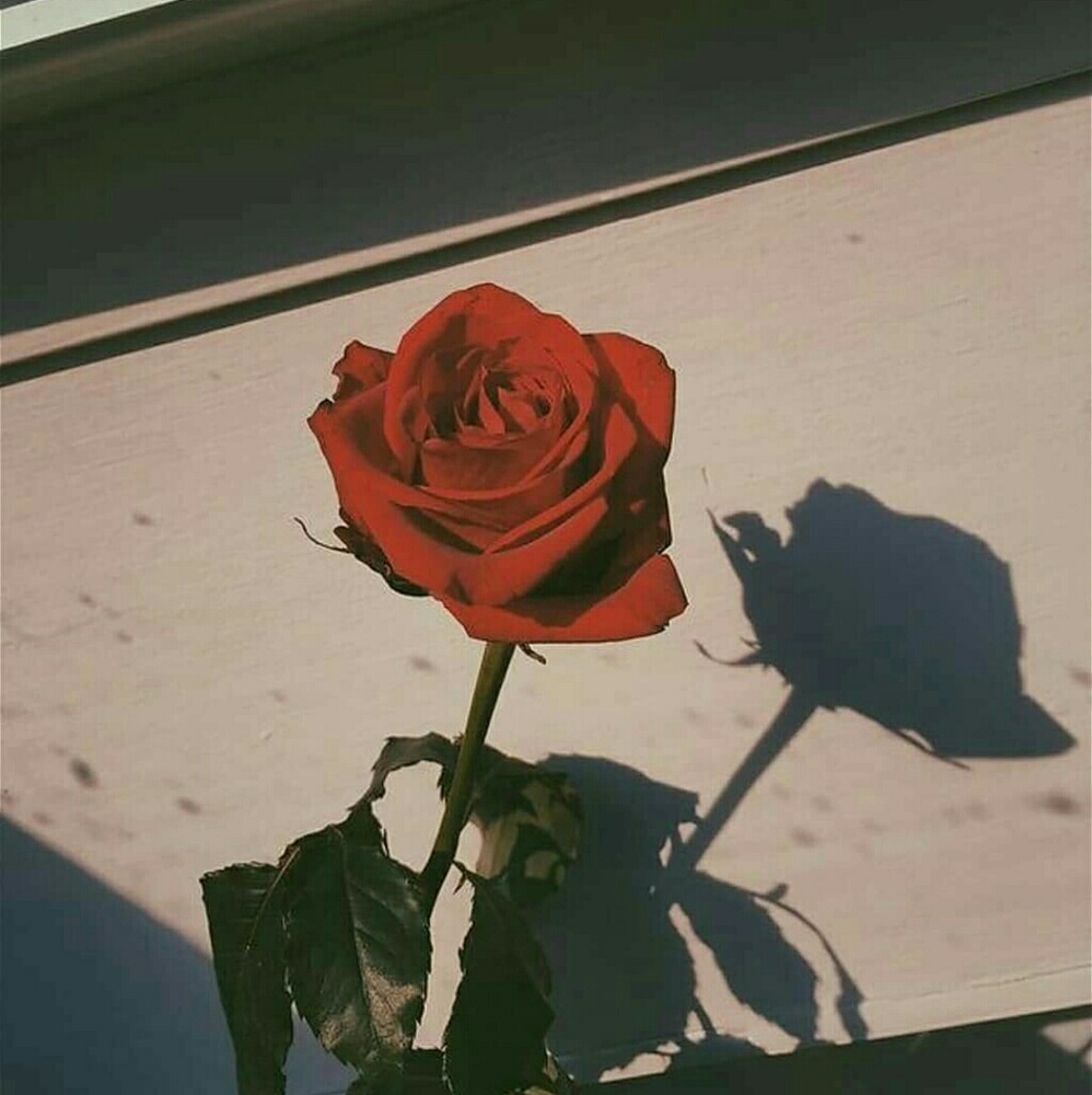 Meet your Posher, Asma